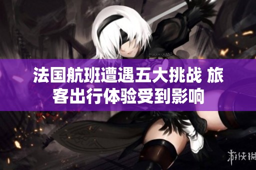 法国航班遭遇五大挑战 旅客出行体验受到影响