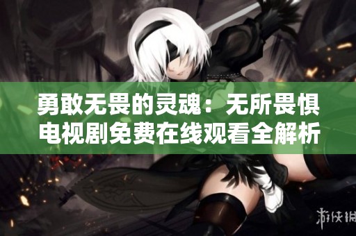 勇敢无畏的灵魂：无所畏惧电视剧免费在线观看全解析