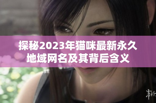 探秘2023年猫咪最新永久地域网名及其背后含义