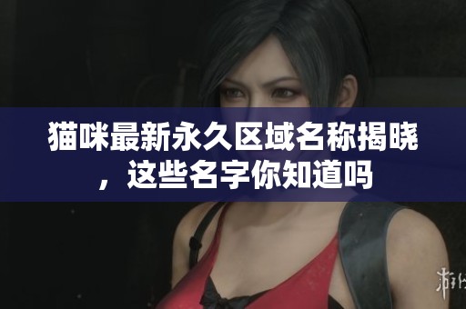 猫咪最新永久区域名称揭晓，这些名字你知道吗