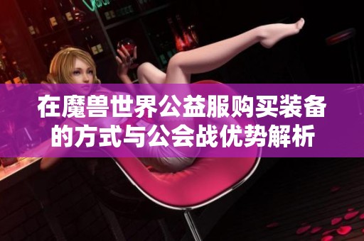 在魔兽世界公益服购买装备的方式与公会战优势解析