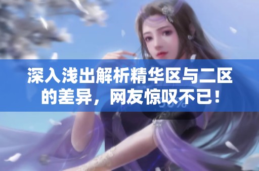深入浅出解析精华区与二区的差异，网友惊叹不已！