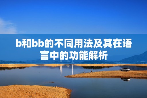 b和bb的不同用法及其在语言中的功能解析