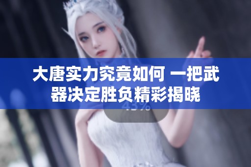大唐实力究竟如何 一把武器决定胜负精彩揭晓