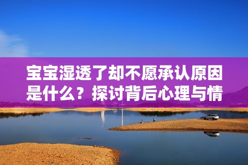 宝宝湿透了却不愿承认原因是什么？探讨背后心理与情绪