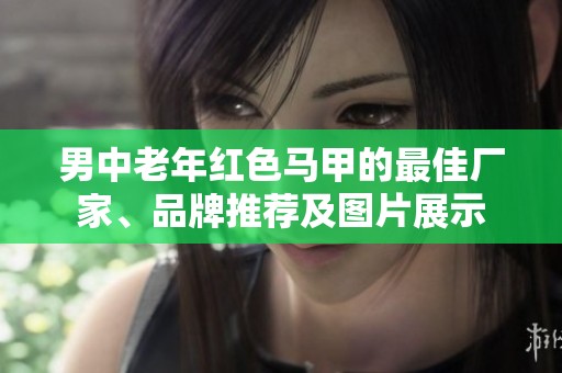 男中老年红色马甲的最佳厂家、品牌推荐及图片展示