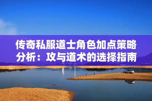 传奇私服道士角色加点策略分析：攻与道术的选择指南