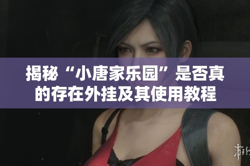 揭秘“小唐家乐园”是否真的存在外挂及其使用教程