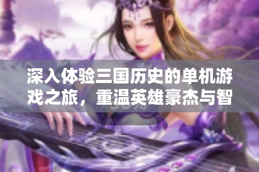 深入体验三国历史的单机游戏之旅，重温英雄豪杰与智勇谋略