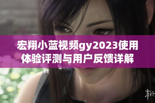 宏翔小蓝视频gy2023使用体验评测与用户反馈详解