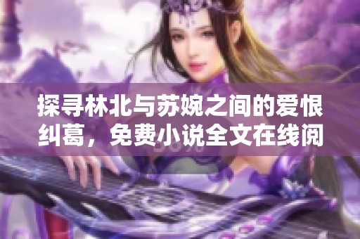 探寻林北与苏婉之间的爱恨纠葛，免费小说全文在线阅读