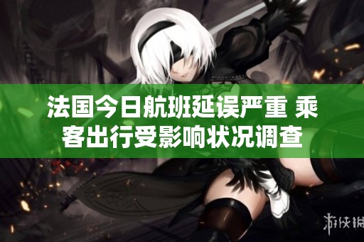 法国今日航班延误严重 乘客出行受影响状况调查