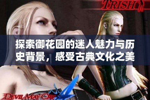 探索御花园的迷人魅力与历史背景，感受古典文化之美