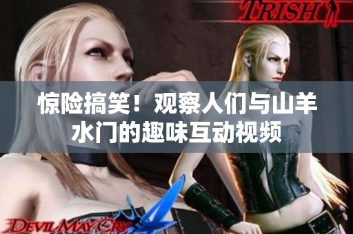 惊险搞笑！观察人们与山羊水门的趣味互动视频