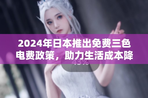 2024年日本推出免费三色电费政策，助力生活成本降低