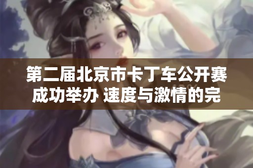 第二届北京市卡丁车公开赛成功举办 速度与激情的完美结合