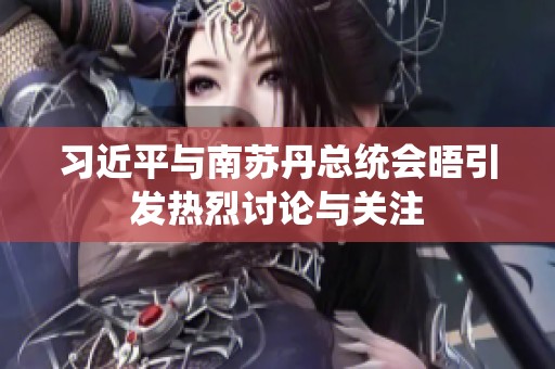 习近平与南苏丹总统会晤引发热烈讨论与关注