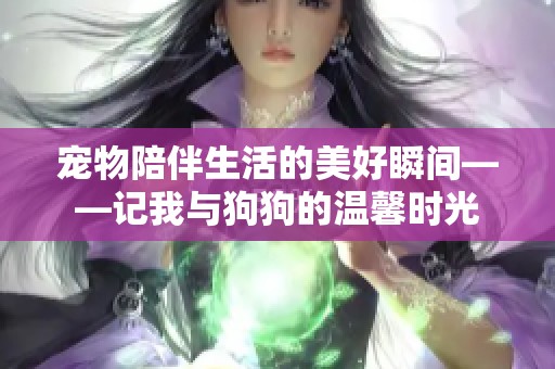 宠物陪伴生活的美好瞬间——记我与狗狗的温馨时光
