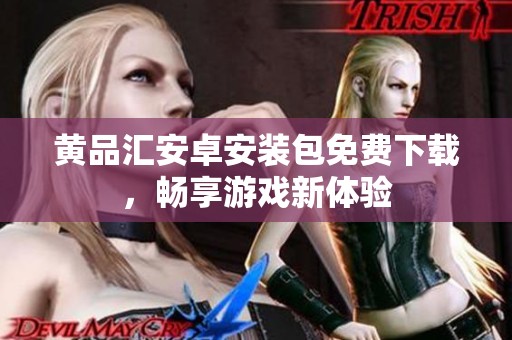 黄品汇安卓安装包免费下载，畅享游戏新体验