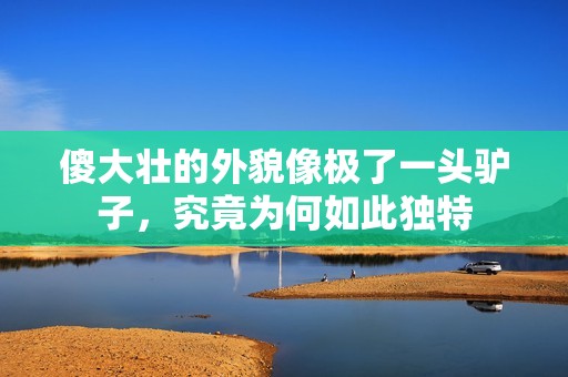 傻大壮的外貌像极了一头驴子，究竟为何如此独特