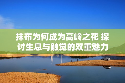 抹布为何成为高岭之花 探讨生息与触觉的双重魅力