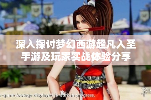 深入探讨梦幻西游超凡入圣手游及玩家实战体验分享