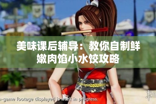 美味课后辅导：教你自制鲜嫩肉馅小水饺攻略