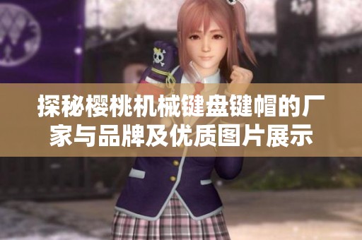 探秘樱桃机械键盘键帽的厂家与品牌及优质图片展示