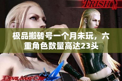 极品搬砖号一个月未玩，六重角色数量高达23头