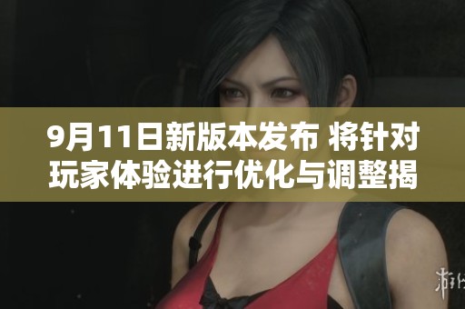 9月11日新版本发布 将针对玩家体验进行优化与调整揭秘