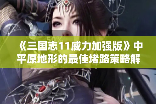 《三国志11威力加强版》中平原地形的最佳堵路策略解析