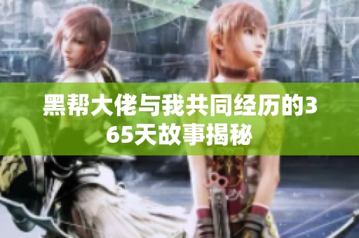 黑帮大佬与我共同经历的365天故事揭秘
