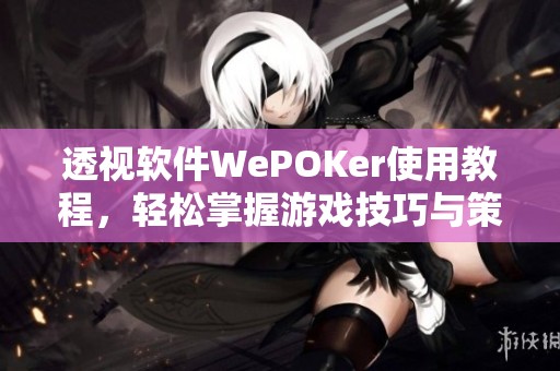 透视软件WePOKer使用教程，轻松掌握游戏技巧与策略