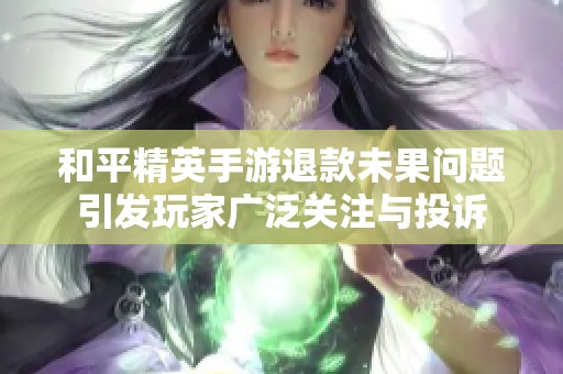 和平精英手游退款未果问题引发玩家广泛关注与投诉