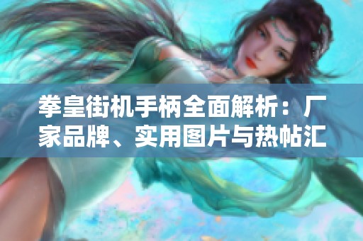 拳皇街机手柄全面解析：厂家品牌、实用图片与热帖汇总