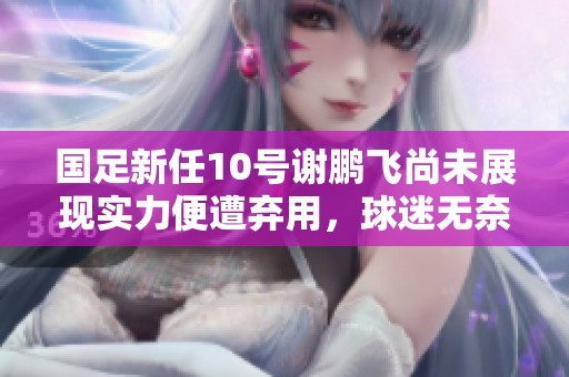 国足新任10号谢鹏飞尚未展现实力便遭弃用，球迷无奈吐槽