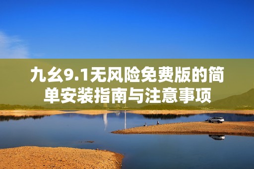九幺9.1无风险免费版的简单安装指南与注意事项