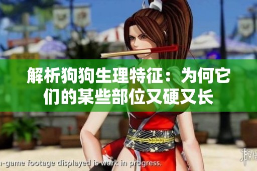 解析狗狗生理特征：为何它们的某些部位又硬又长