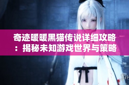奇迹暖暖黑猫传说详细攻略：揭秘未知游戏世界与策略技巧