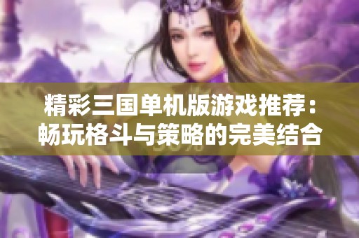 精彩三国单机版游戏推荐：畅玩格斗与策略的完美结合