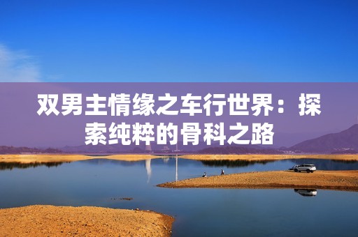 双男主情缘之车行世界：探索纯粹的骨科之路