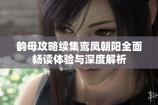 韵母攻略续集鸾凤朝阳全面畅读体验与深度解析