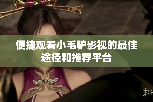 便捷观看小毛驴影视的最佳途径和推荐平台