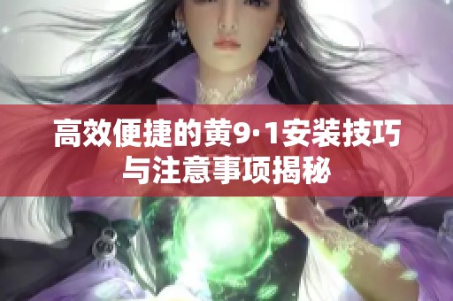 高效便捷的黄9·1安装技巧与注意事项揭秘