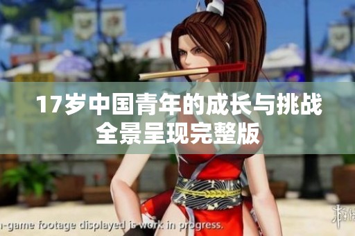 17岁中国青年的成长与挑战全景呈现完整版