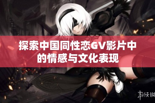 探索中国同性恋GV影片中的情感与文化表现