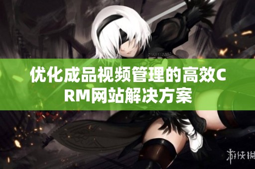 优化成品视频管理的高效CRM网站解决方案