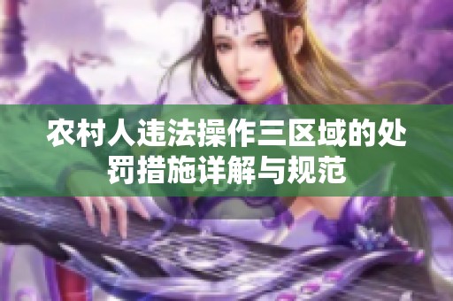 农村人违法操作三区域的处罚措施详解与规范