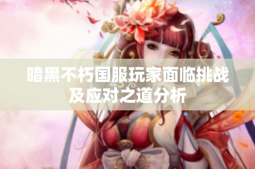 暗黑不朽国服玩家面临挑战及应对之道分析