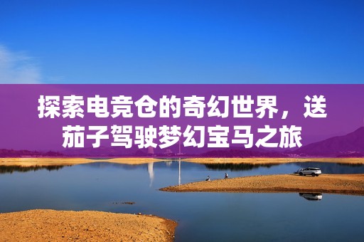 探索电竞仓的奇幻世界，送茄子驾驶梦幻宝马之旅